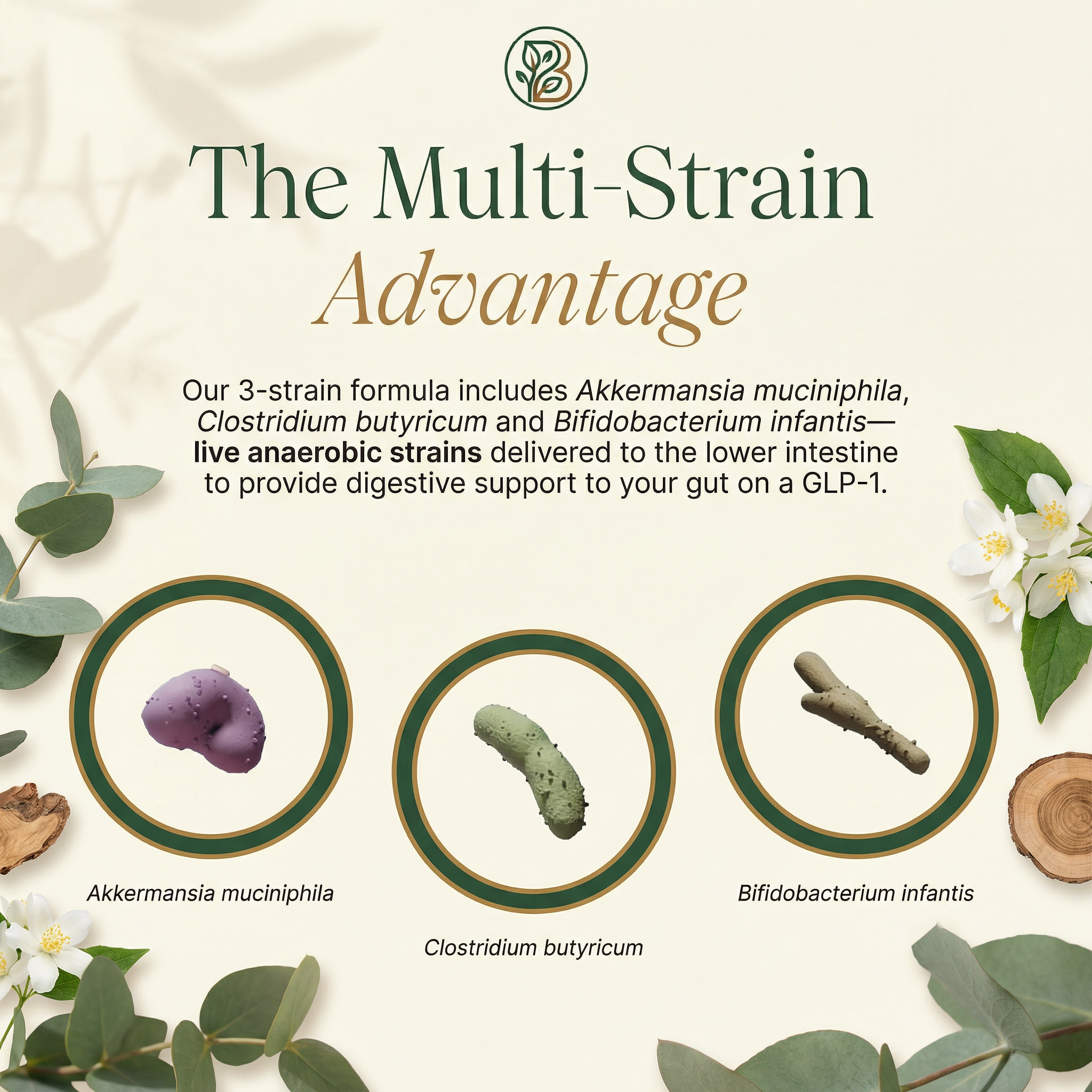 GLP-1 Probiotic Digestive Capsules - Gut Health & Weight Support (30 Count)